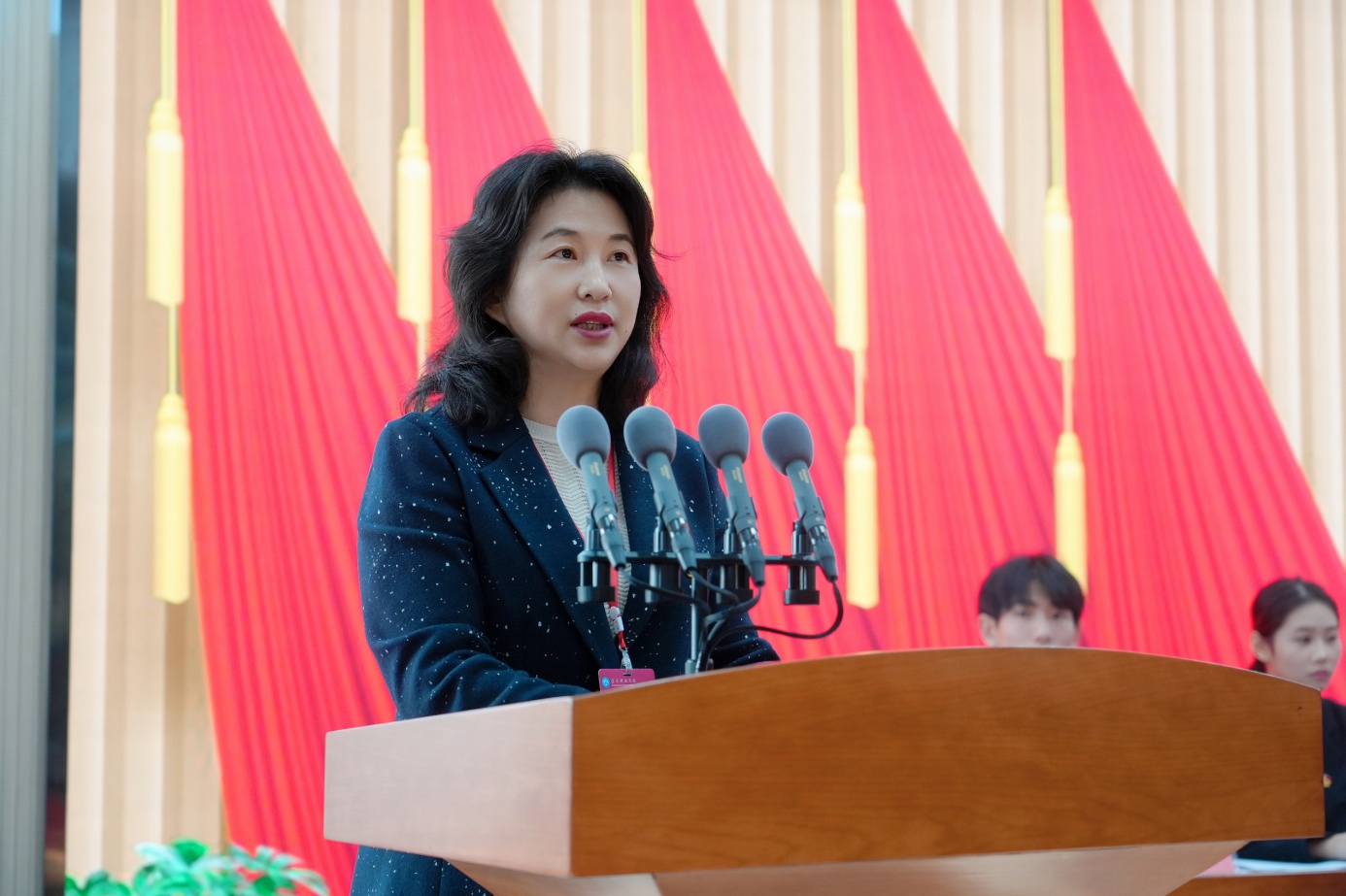 2.开幕式,赵书记讲话照片.jpg